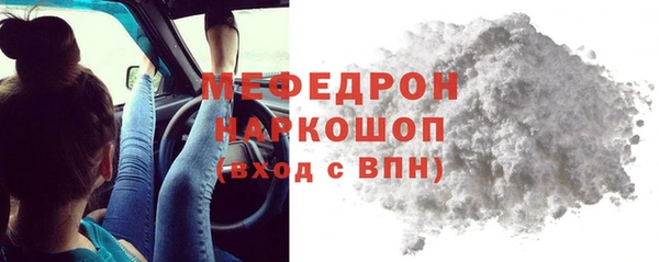 сатива Беломорск