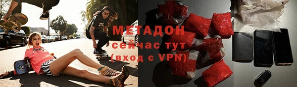 сатива Беломорск