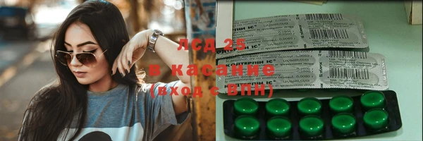 сатива Беломорск