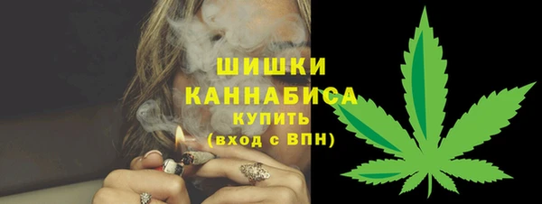 сатива Беломорск