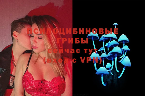 сатива Беломорск