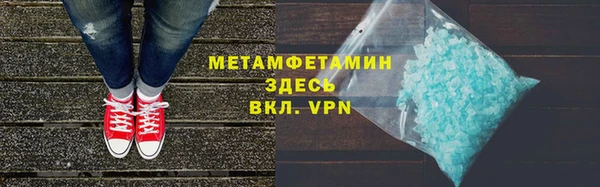 сатива Беломорск