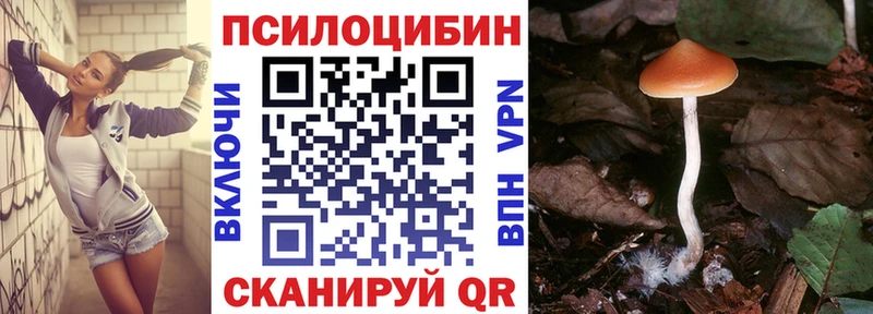 Галлюциногенные грибы Psilocybine cubensis  гидра маркетплейс  Вилючинск  где продают  